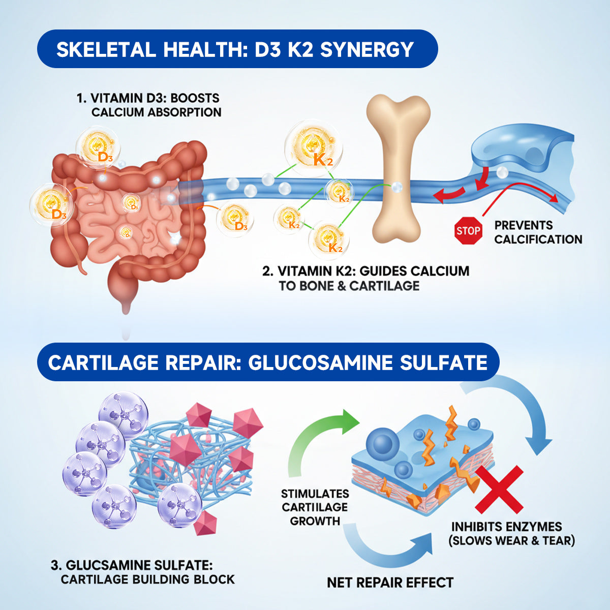 Zvoevo® BPC-157 Stabilized-Peptide Joint Recovery Oral Liquid - ✅Clinically Co-Developed with U.S. Peptide Research Alliance
